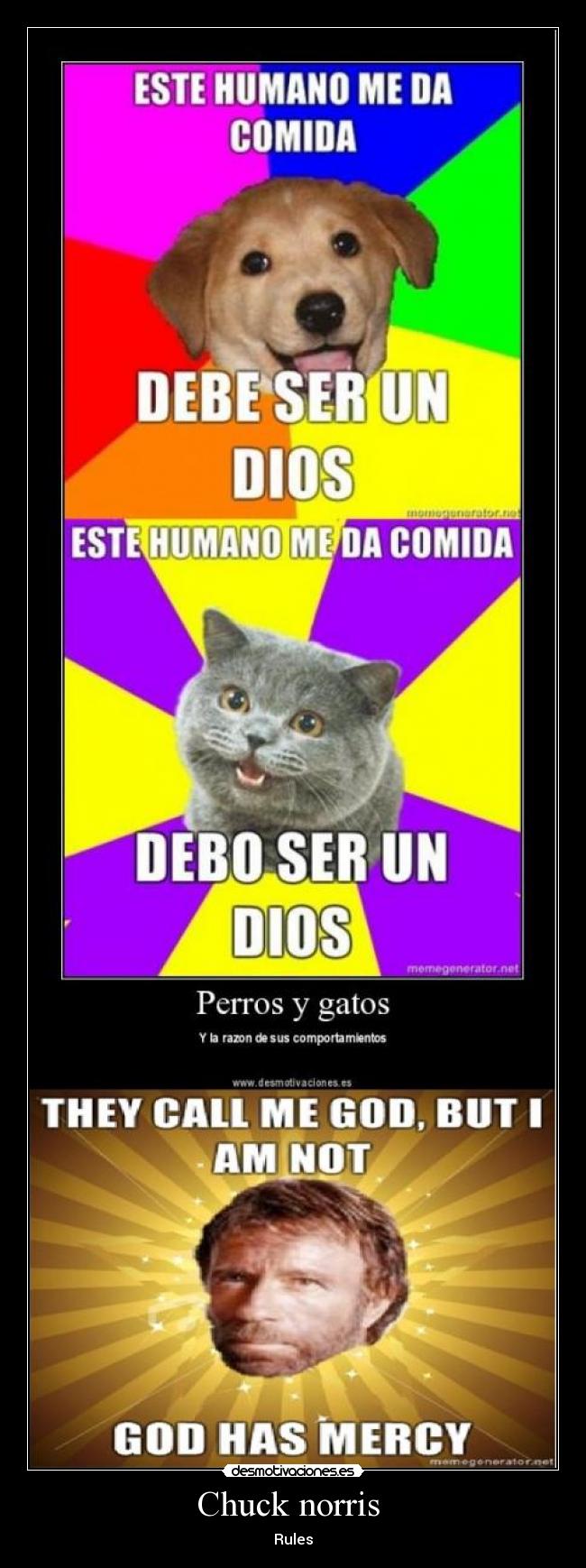 Chuck norris - Rules