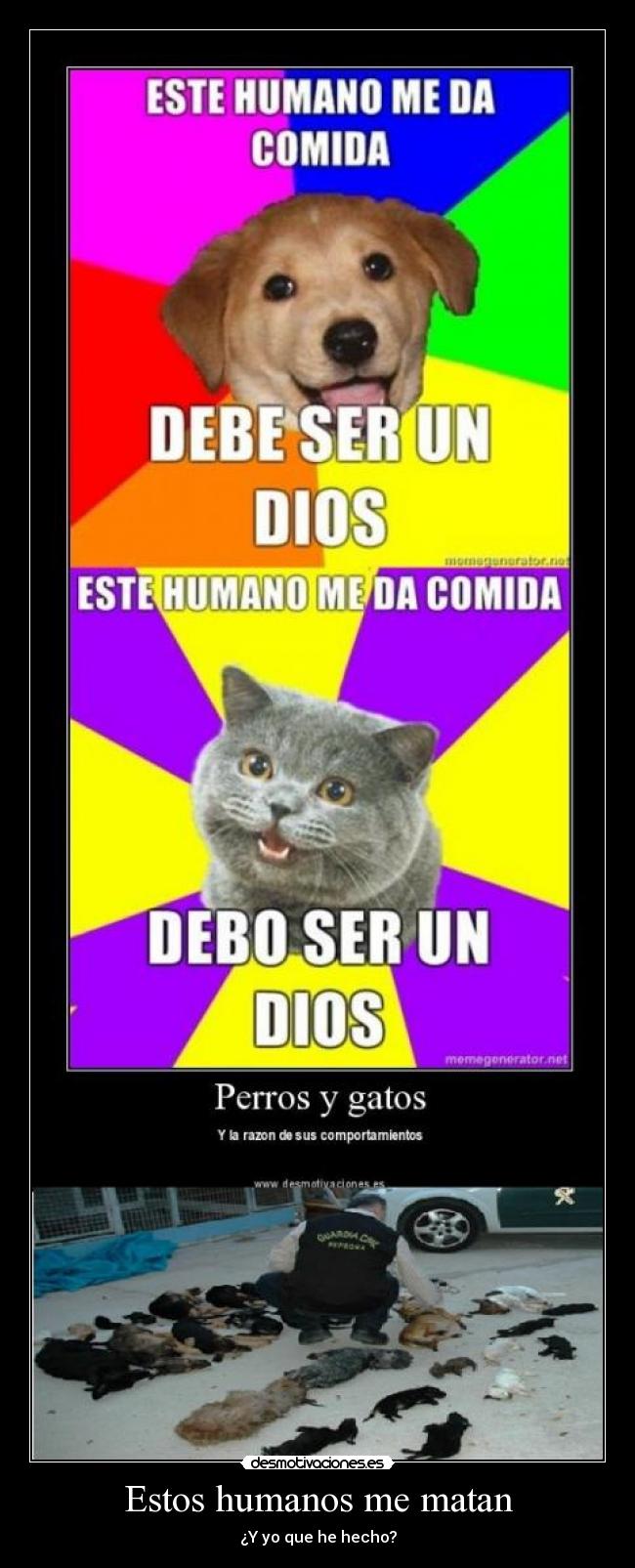 Estos humanos me matan - ¿Y yo que he hecho?