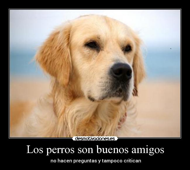 Los perros son buenos amigos -