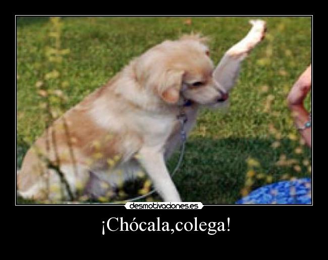 ¡Chócala,colega! - 