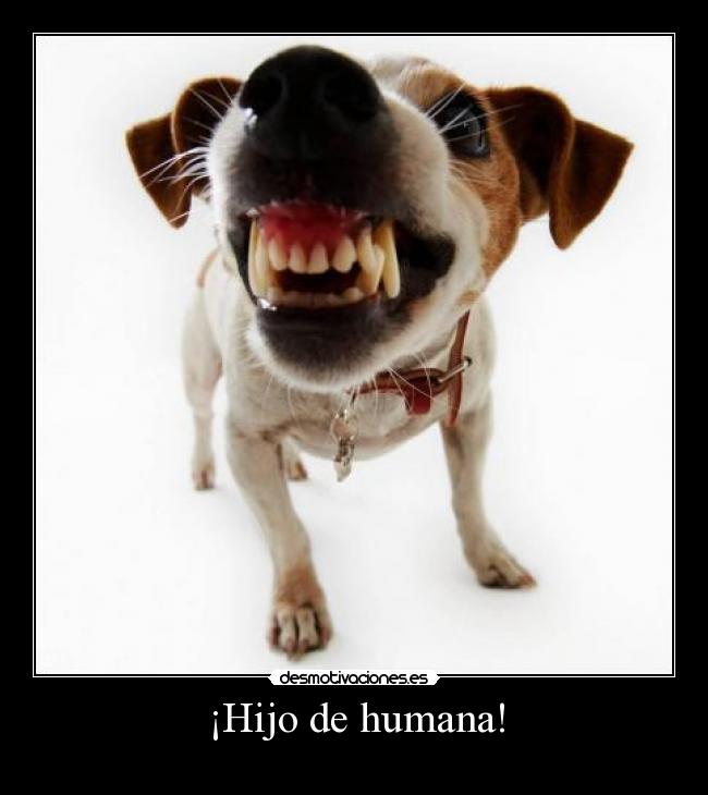 ¡Hijo de humana! - 
