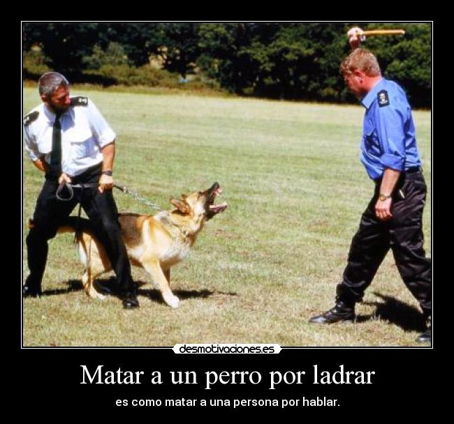 Matar a un perro por ladrar - es como matar a una persona por hablar.