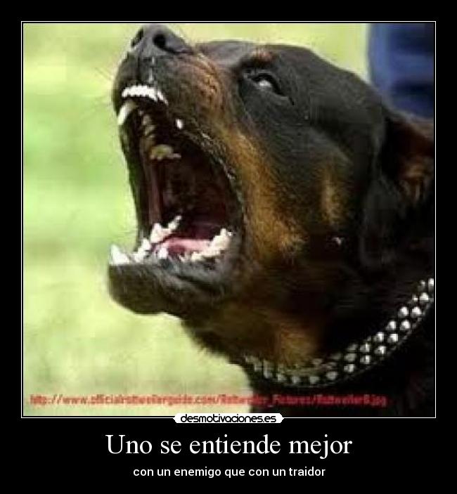 Uno se entiende mejor - con un enemigo que con un traidor