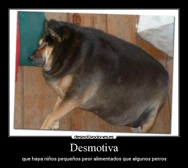 Desmotiva - que haya niños pequeños peor alimentados que algunos perros