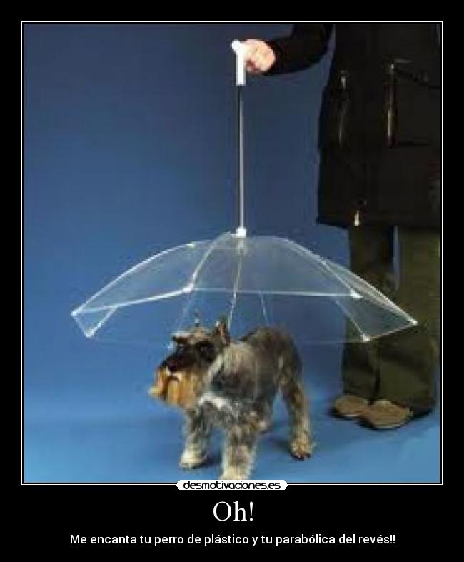 Oh! - Me encanta tu perro de plástico y tu parabólica del revés!!