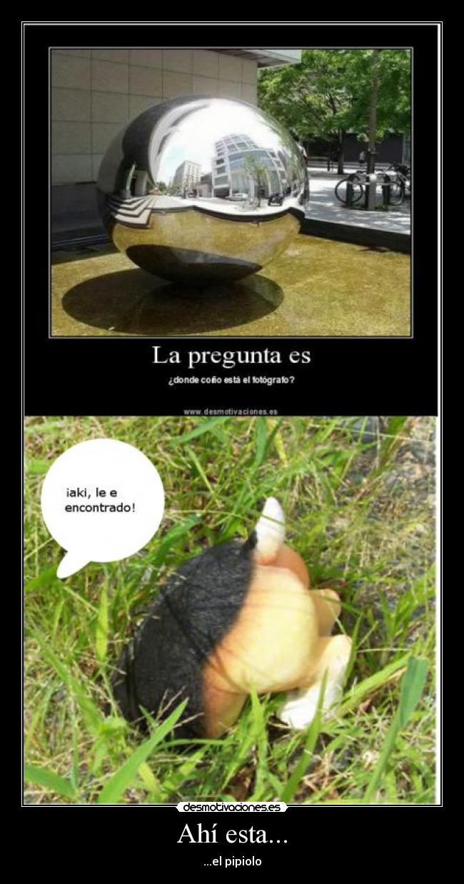 carteles perrooooooo desmotivaciones