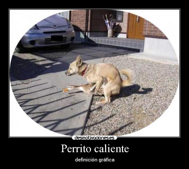 Perrito caliente -