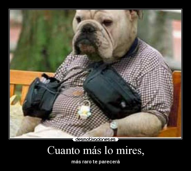 Cuanto más lo mires, -