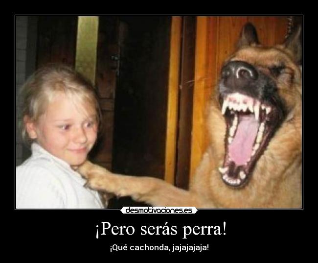 ¡Pero serás perra! - ¡Qué cachonda, jajajajaja!