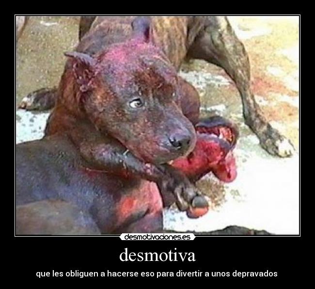 desmotiva -