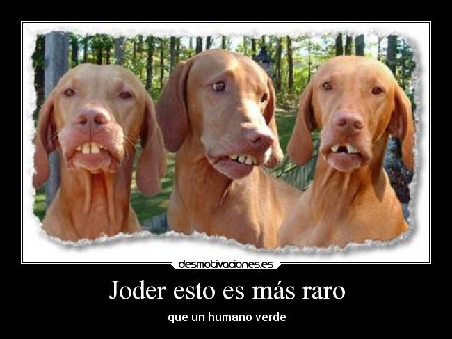 Joder esto es más raro - 