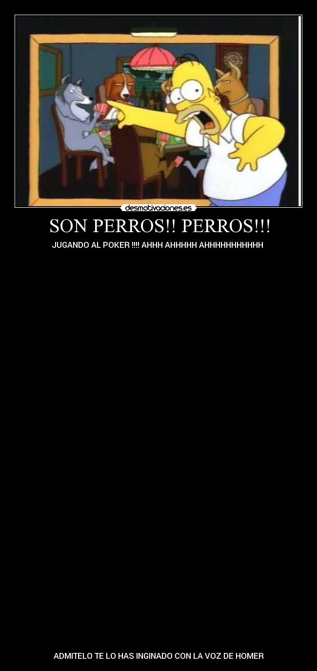 SON PERROS!! PERROS!!! -