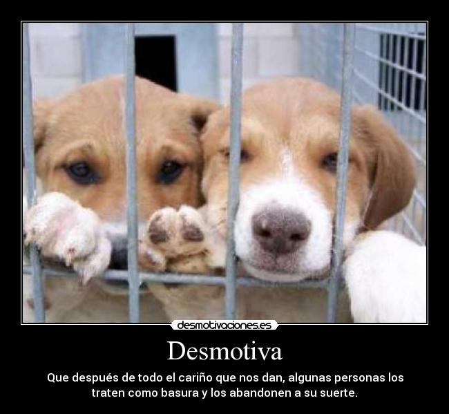 Desmotiva -