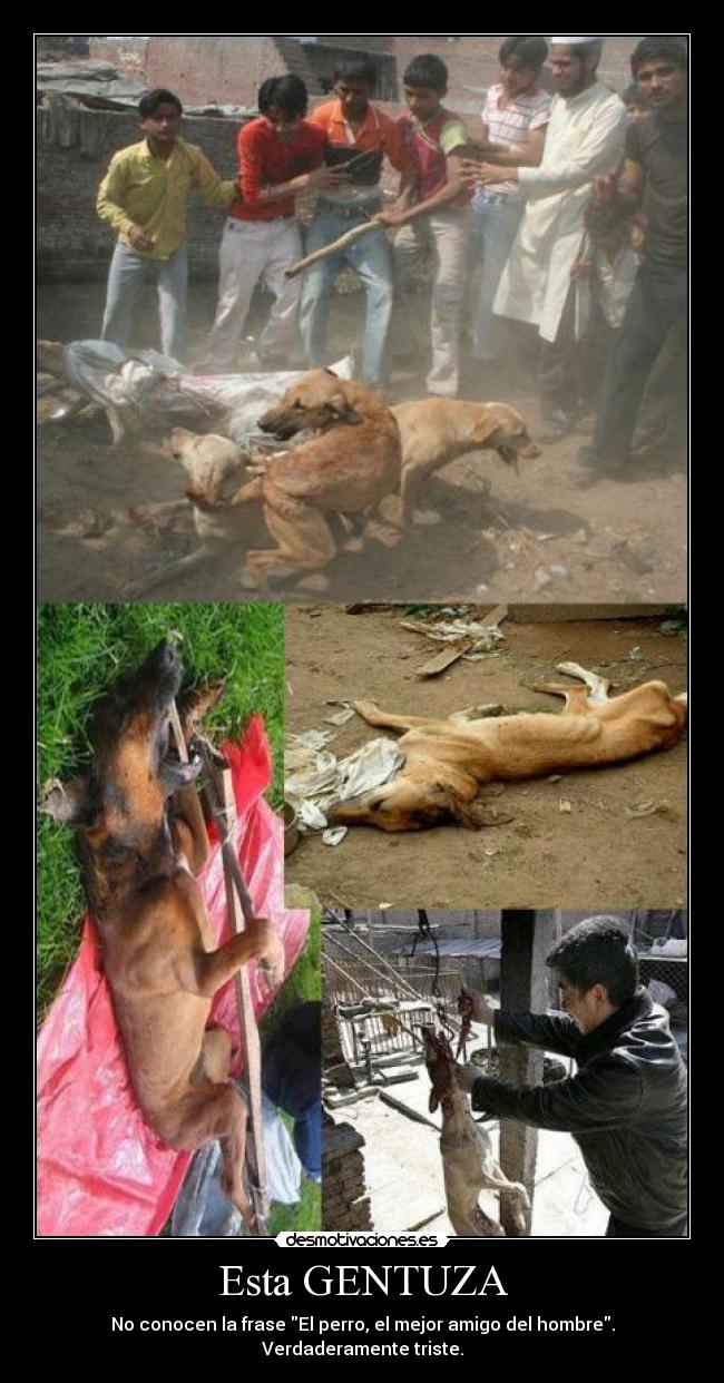Esta GENTUZA - No conocen la frase El perro, el mejor amigo del hombre.
Verdaderamente triste.