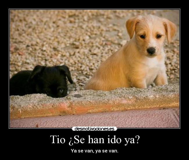 carteles perros desmotivaciones