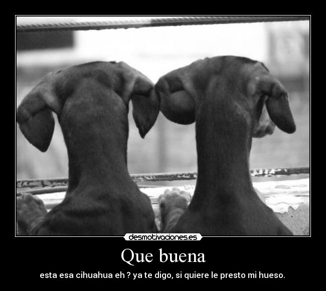 Que buena -