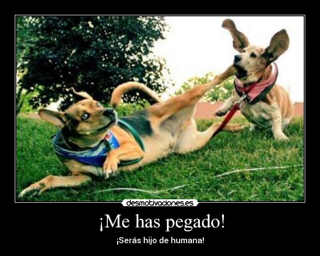 ¡Me has pegado! - 