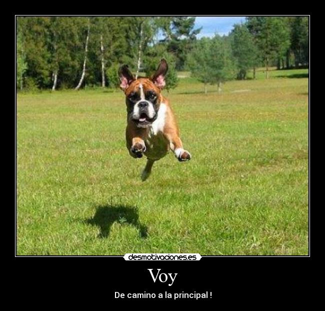 Voy - De camino a la principal !