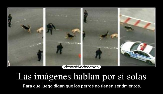 Las imágenes hablan por si solas -