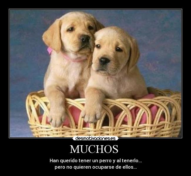 MUCHOS -
