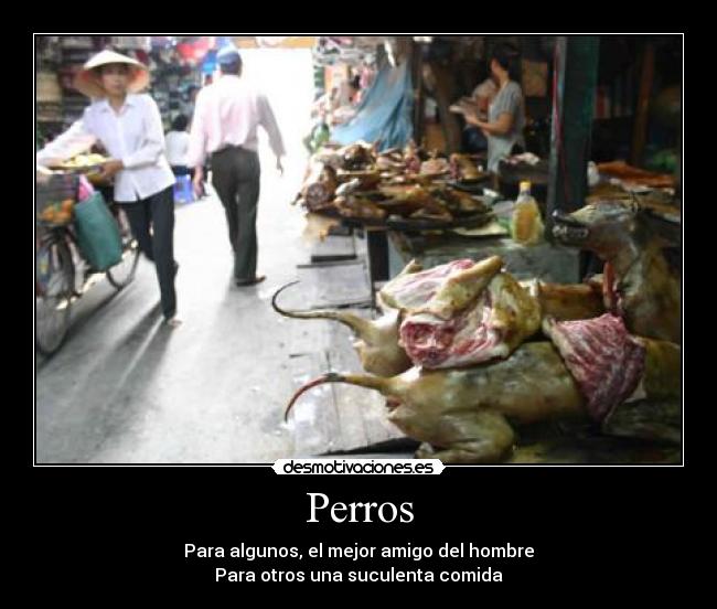 Perros -
