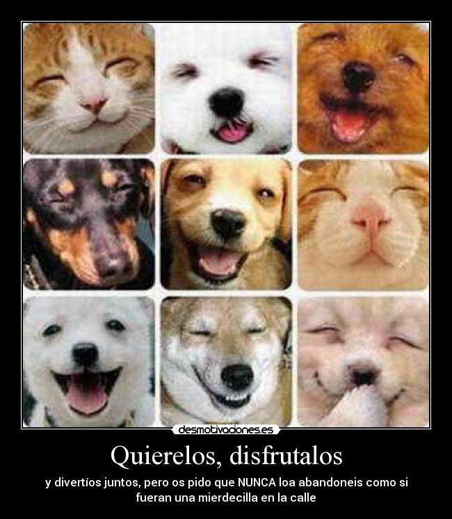 Quierelos, disfrutalos - 