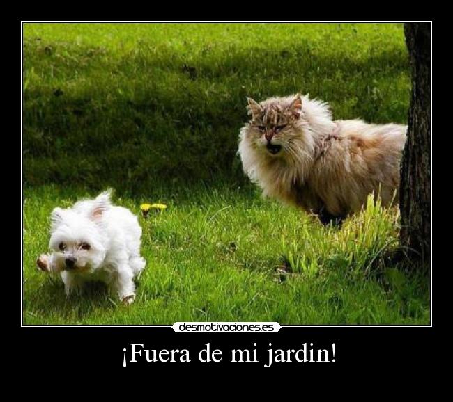 ¡Fuera de mi jardin! - 