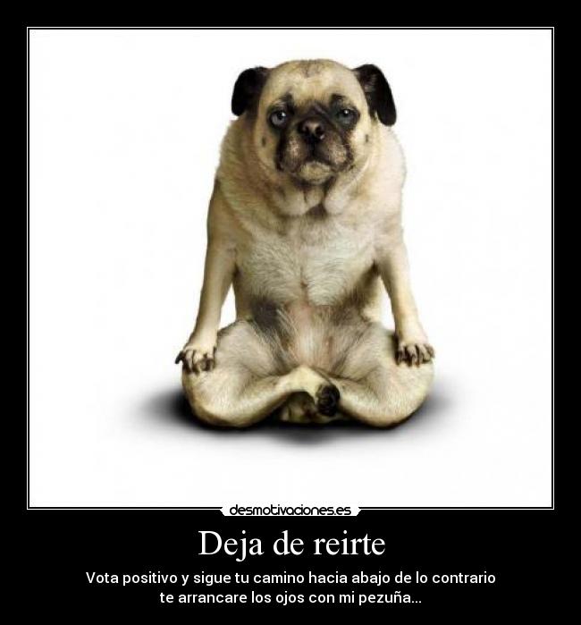 Deja de reirte - Vota positivo y sigue tu camino hacia abajo de lo contrario
te arrancare los ojos con mi pezuña...