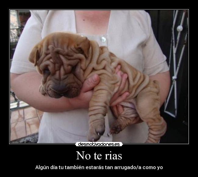 No te rias - 