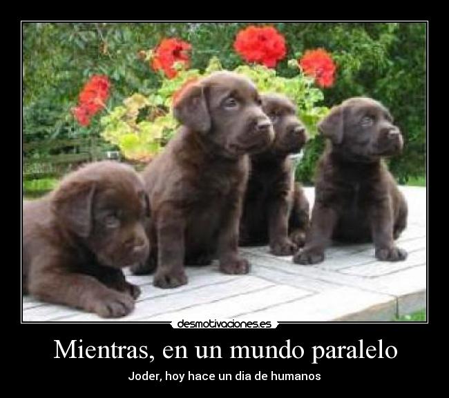 Mientras, en un mundo paralelo - Joder, hoy hace un dia de humanos