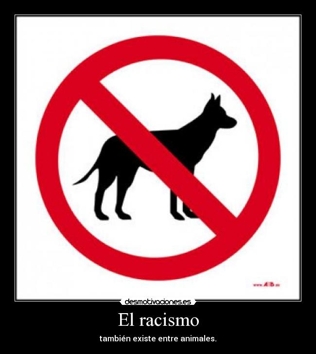 El racismo -