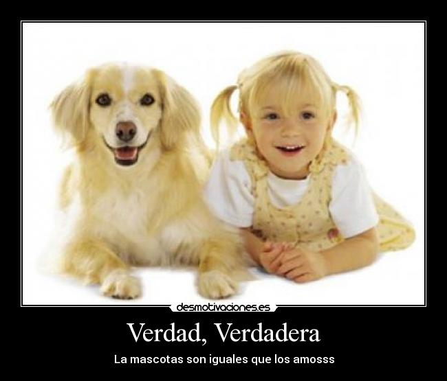 Verdad, Verdadera - La mascotas son iguales que los amosss