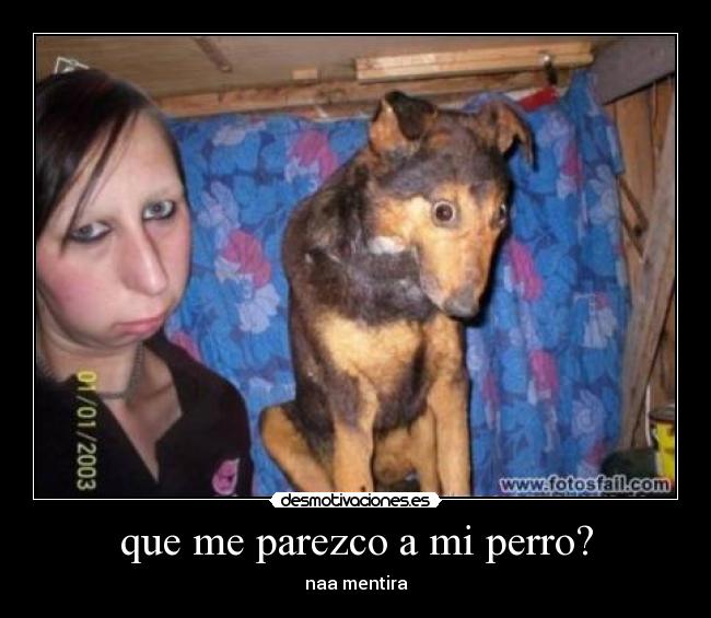 carteles perros que parecen sus duenos cara lol wtf fail desmotivaciones