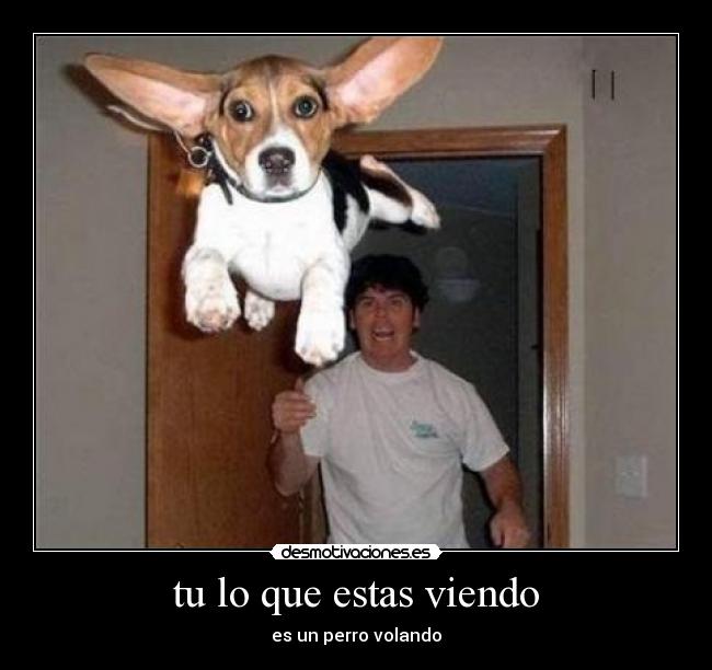 tu lo que estas viendo -