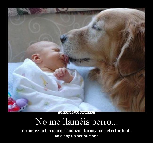 No me llaméis perro... - 