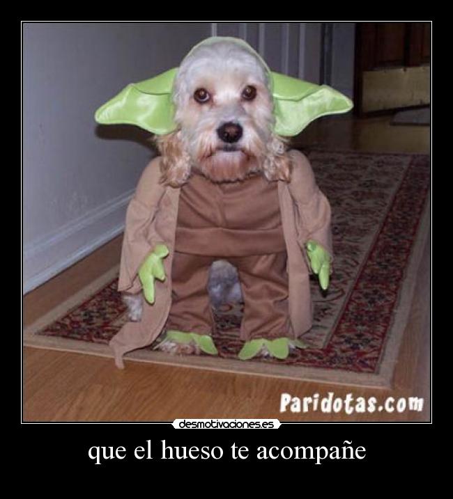 que el hueso te acompañe -