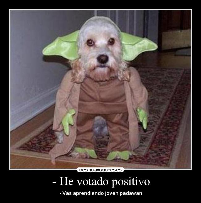 - He votado positivo - 