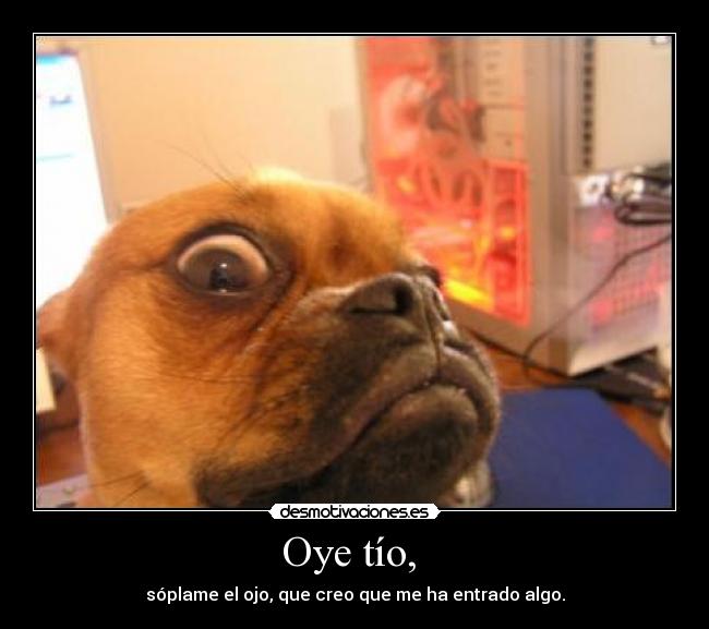 Oye tío, -