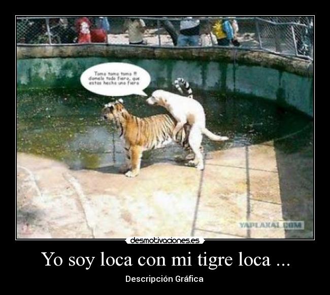 carteles lolo desmotivaciones