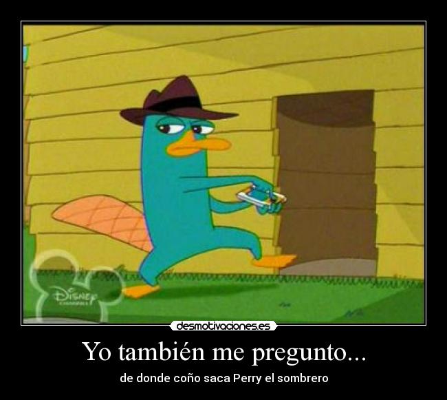 Yo también me pregunto... -