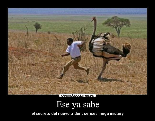 Ese ya sabe - 