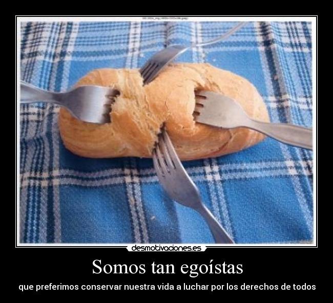 Somos tan egoístas - que preferimos conservar nuestra vida a luchar por los derechos de todos