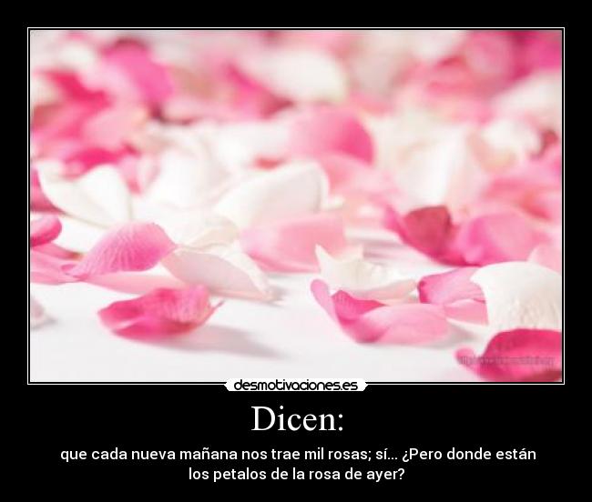 Dicen: - que cada nueva mañana nos trae mil rosas; sí... ¿Pero donde están
los petalos de la rosa de ayer?