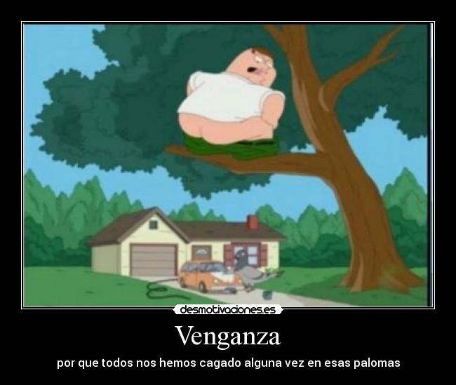 Venganza -