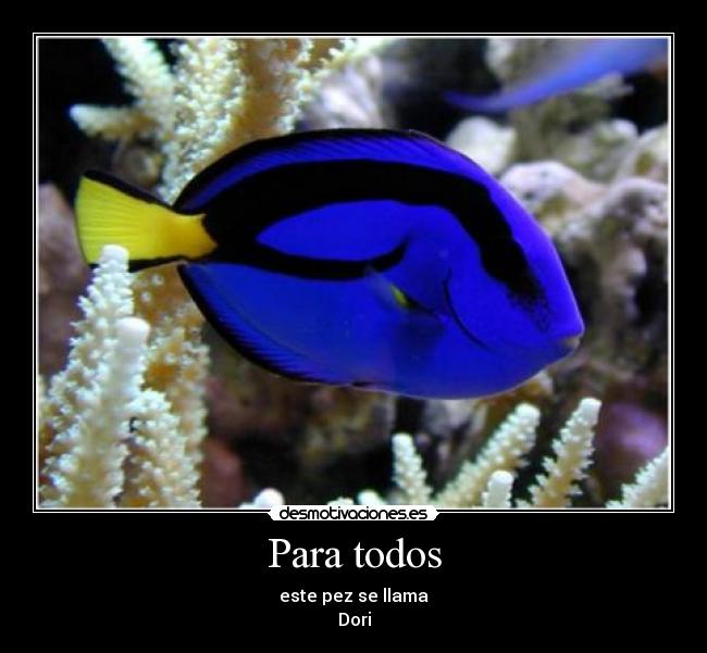 Para todos - este pez se llama
Dori
