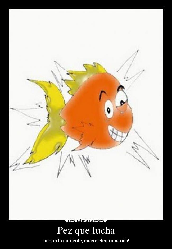  Pez que lucha  - contra la corriente, muere electrocutado!