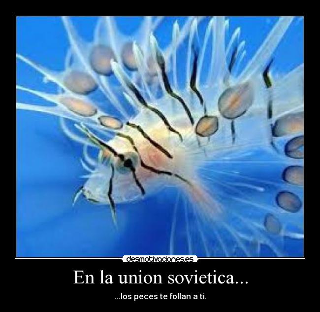 En la union sovietica... - ...los peces te follan a ti.