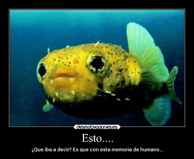 Esto.... - ¿Que iba a decir? Es que con esta memoria de humano...