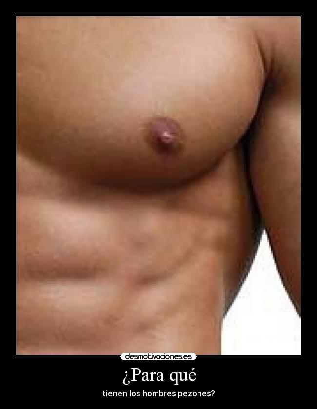 ¿Para qué - tienen los hombres pezones?