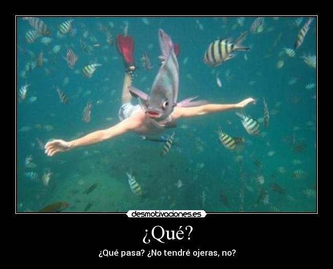 ¿Qué? - 